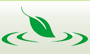 江西環(huán)球天然香料有限公司logo